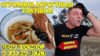 Дорогущая ракушка очень спорная покупка!