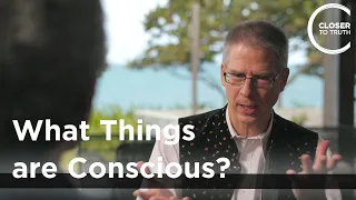 Christof Koch - What Things are Conscious?