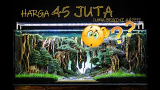 SETUP TANK CUSTOMER 1,5 METER || JUNGLE BONSAI STYLE