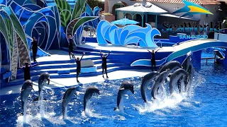 Dolphin Days Full Show at SeaWorld San Diego 2022