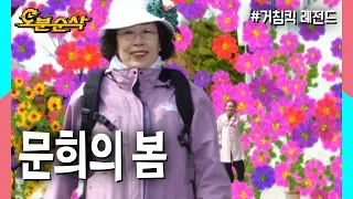 🌸봄봄봄봄 봄이왔어요~문희의 마음속에도~🌸★봄특집 십분순삭★| 거침킥⏱오분순삭