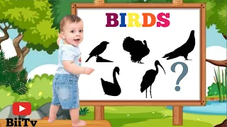 GUESS THE BIRD BY SHADOW IN 5 SECONDS| PART-2 | #BIITV