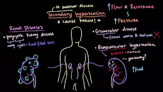 Secondary hypertension | Circulatory System and Disease | NCLEX-RN | Khan Academy