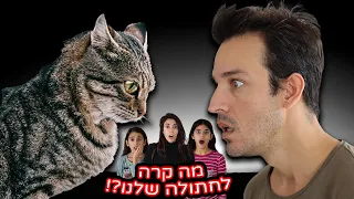 מה קרה לחתולה שלנו ??