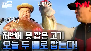 리얼 팔뚝보다 긴 금빛 농어😲 강호동X정상훈의 찐으로 운수 좋은 날🐟 | 섬총사