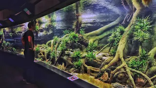 MONSTER Planted Aquascape in German Zoo - Full Tour