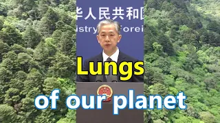 China contributes a quarter of the world's new forest land | 中国贡献了全球四分之一的新林地