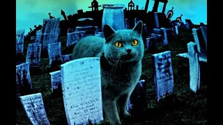 Pet Sematary - TRADUÇÃO (Ramones)