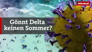 Corona-Mutation: Darum ist die Delta-Variante so gefährlich | WDR Aktuelle Stunde