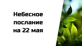 Небесное послание на 22 мая. Ваше внутреннее состояние.