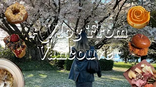 VANCOUVER VLOG 🇨🇦| best pasta in town, cherry blossom season, thrift haul