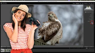 My NEW Lightroom Editing Workflow for Wildlife