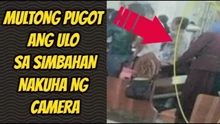 WVT : 10 Pangyayari sa Pilipinas na di ka maniniwala kung di nakuha ng camera | What's Viral Today