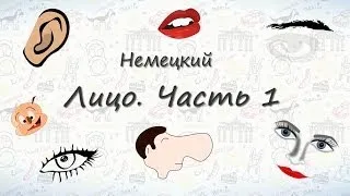 Части лица на немецком (часть 1). Учим немецкие слова "Части лица"