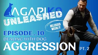 AGAPIK9 UNLEASHED EPISODE 10 - DEALING WITH AGGRESSION PT 2