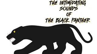 THE INTIMIDATING SOUNDS OF THE BLACK PANTHER!