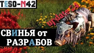 Смотрим UPDATE 24. Новое DLС DRAGONHOLD и много неоднозначных изменений. TESO(2019)