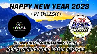 DJ TRILESH - ALL BHOJPURI & SEGA REMIXES | PLAYLISTS | 1 HOUR NON STOP DANCE | MAURITIUS