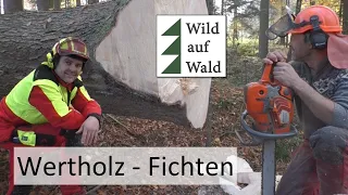 🌲Wertholz: Auf zur Nadelholzversteigerung #wildaufwald