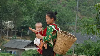 The Real Life of a 17-Year-Old Single Mother & Harvesting Wild Bamboo Shoots | Ly Tieu Ca