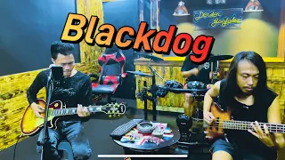 Led Zeppelin - Blackdog ll cover ll Live Video ll By Dens Gonjalez