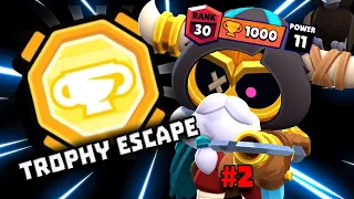 TOP 5 BEST BRAWLERS ON TROPHY ESCAPE 😼