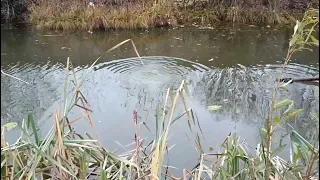 земснаряд очистка водоема.