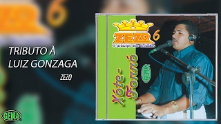 Zezo - Xote e Forró Vol. 6 - Tributo à Luiz Gonzaga (Áudio Oficial)