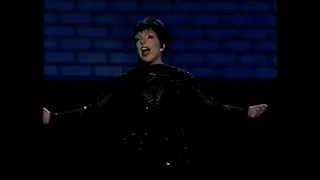 "Celebrate Broadway" | Barry Bostwick & Liza Minnelli | 1993 Tony Awards Opening