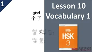 Lesson 10 Vocabulary 1 | HSK 3 Standard Course Part A – Teacher Explanation