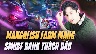 MANGO FISH FARM MẠNG GÁNH TEAM LẬT KÈO VỚI TƯỚNG TỦ FIZZ 25 SÁCH MEJAI TẠI RANK THÁCH ĐẤU