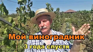 #337 Винограднику 3 года/село Молдаванское/долина Лефкадия/Краснодарский край/Переехали на Кубань.