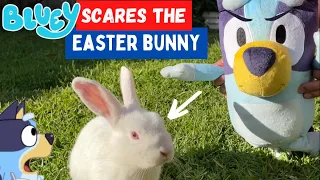 🐰 BLUEY Scares the Easter Bunny‼️ | Pretend Play with Bluey Toys | Disney Jr | ABC Kids