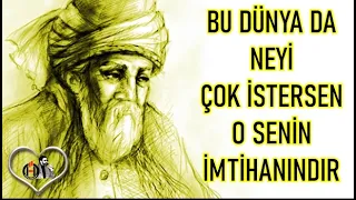 Mevlana Sözleri 🌹 ( İlaç Gibi ) 🌹“ Sükûtun da bir sesi vardır 🌹Onu duyacak yürek lazım” #mevlana