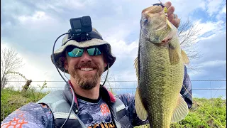 BIG Bass on My #1 Survival Lure: Mepps Spinner #shorts