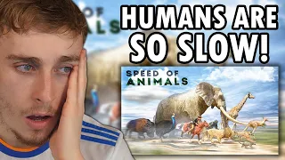 Reacting to The Slowest To Fastest Animals SPEED COMPARISON 3D