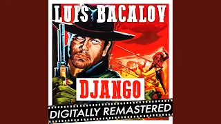 Django (English Version)