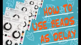 Mutable Instruments Beads as delay.