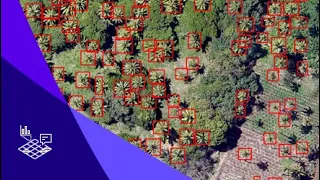 Geospatial Deep Learning with ArcGIS - Rohit Singh, Director of Esri R&D Center