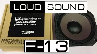 Обзор фиолеток Loud Sound F13