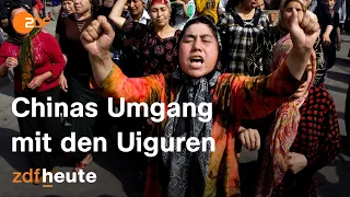Menschenrechtsverletzungen in Xinjiang: Uigur*innen erzählen ihre Geschichte | auslandsjournal
