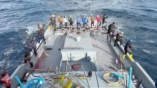 Full video of how we catch skipjack tuna by pole and line