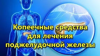 Копеечные средства для лечения поджелудочной железы