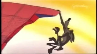 The Road Runner and Wile E Coyote In "Fastest with the Mostest"