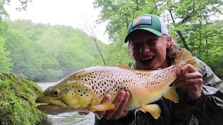 TROUT FISHING MISSOURI: CATCH OF A LIFETIME!! BIGGEST BROWN EVER(Fly Fishing Current River Missouri)