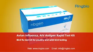 Avian influenza virus antigen rapid test kit, bird flu rapid test kit