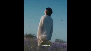 RM - wild flower edit