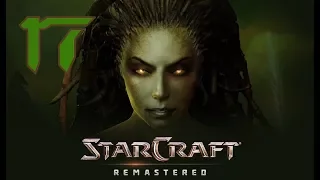 Let's Play StarCraft: Brood War Remastered (Blind) - Part 17: Vile Disruption