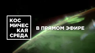 Космическая среда №307 в прямом эфире