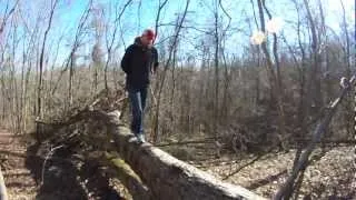 Walking dogs at Forked Run State Park, Saturday Jan. 19th